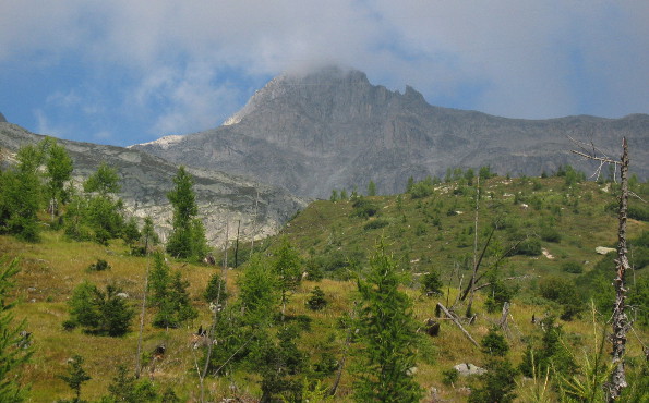 Chüebodenhorn seen from Capanna Piansecco